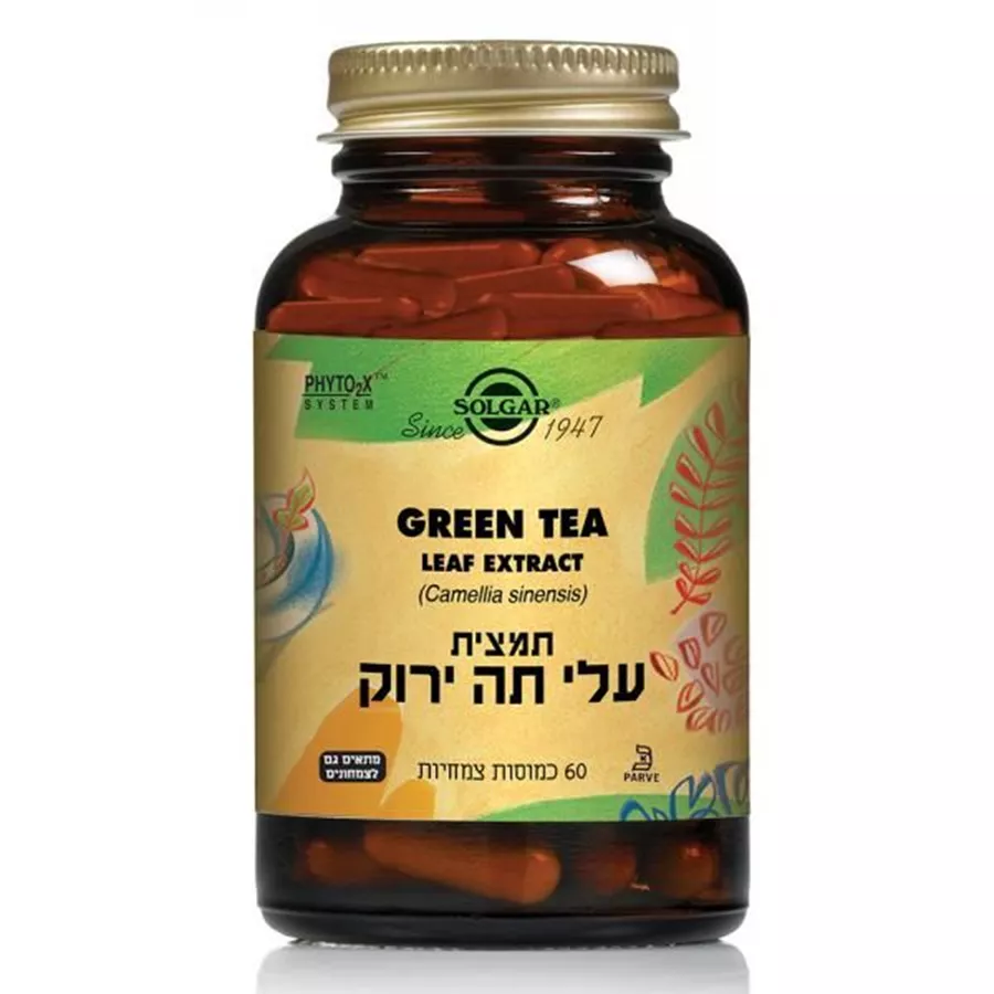 עלי תה ירוק - תמצית תקנית סולגאר Green Tea (Camellia sinensis) SFP
