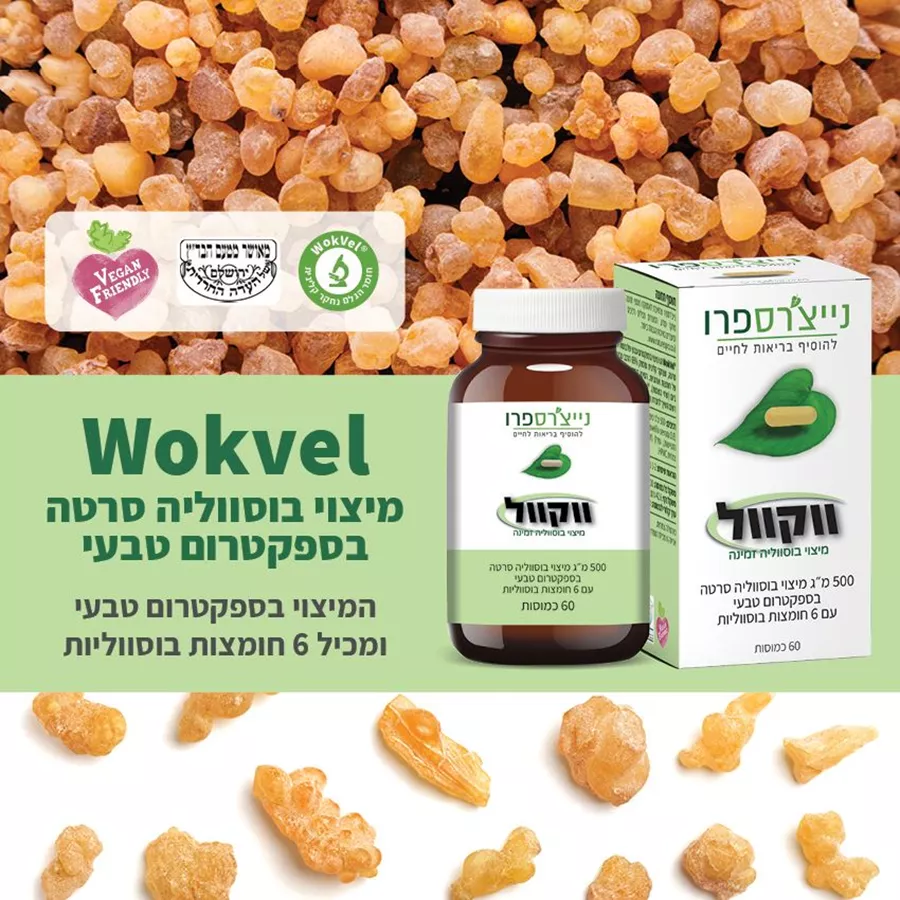 ווקוול מיצוי לבונה 60 כמוסות נייצ׳רספרו WokVel