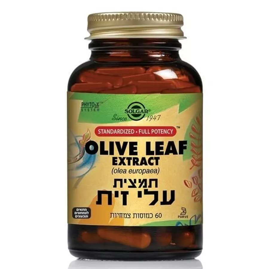 תמצית עלי זית 60 כמוסות  OLIVE LEAF EXT.60 סולגאר
