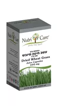 עשב חיטה 500 מ״ג 100 כמוסות נוטריקר Vitamins4u